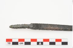 Foto von Bronzeraspel (NHMW-PRAE-025060)